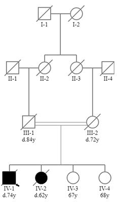 Case report: Adult-onset limb girdle muscular dystrophy in sibling pair due to novel homozygous LAMA2 missense variant